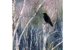 Winter Crow