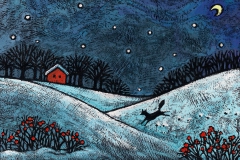 Winter Fox