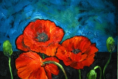 Red Poppies