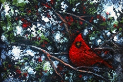 Winter cardinal 2