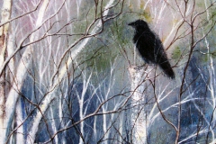 Winter Crow