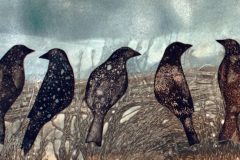 5 Crows 6x12