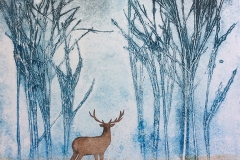 In the Stillness of the Woods